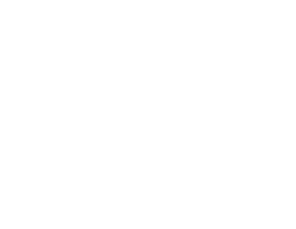 project ireland logo